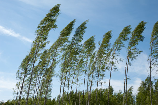 wind
