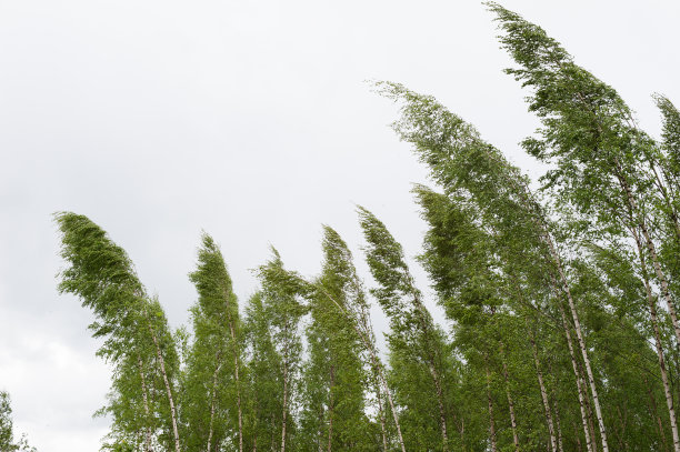 wind