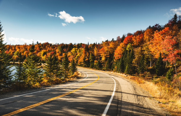 道路秋景