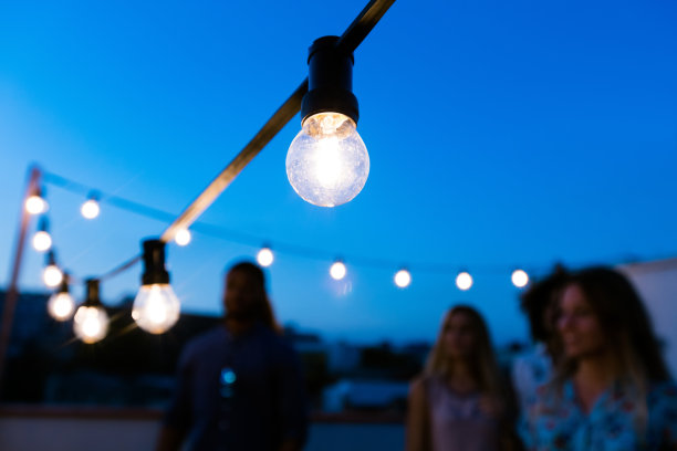 bulbs