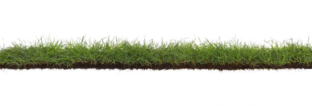 sectional