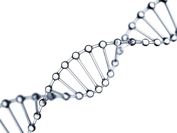 gene