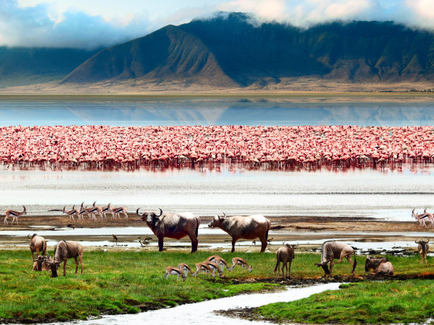 tanzania