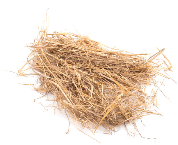 hay