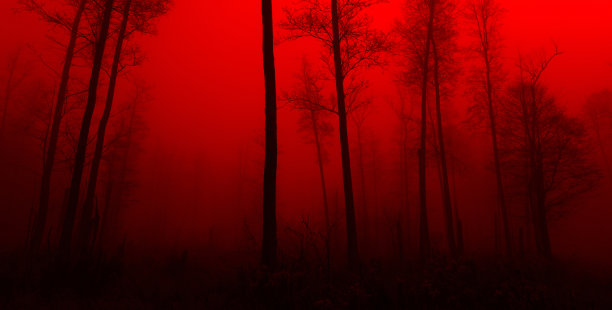 红森林