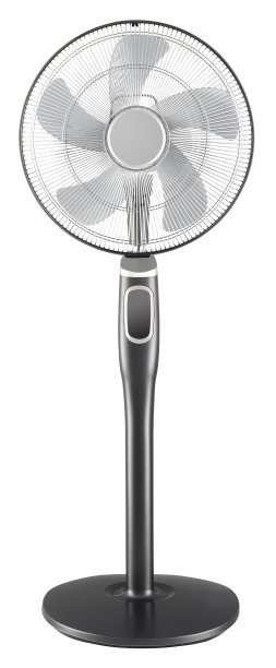 fan