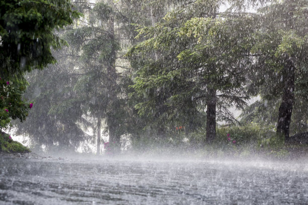 雨后