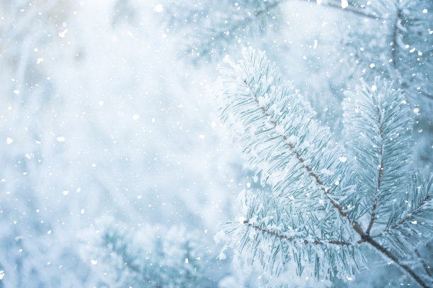 snowfall