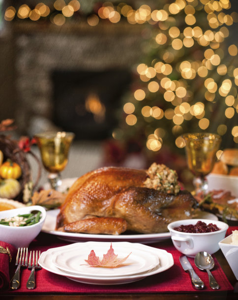 turkey