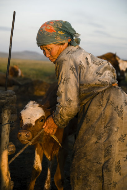 mongol