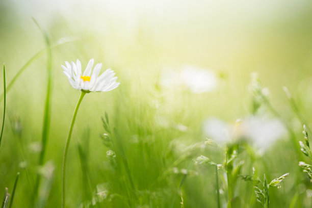 springtime