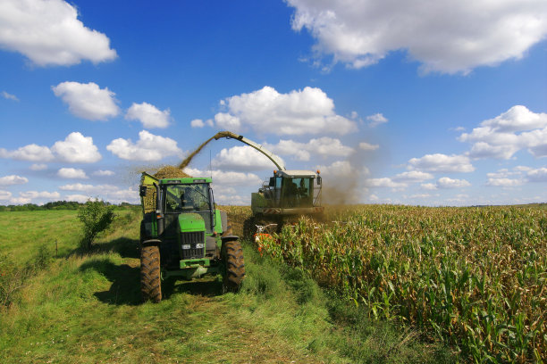 harvest