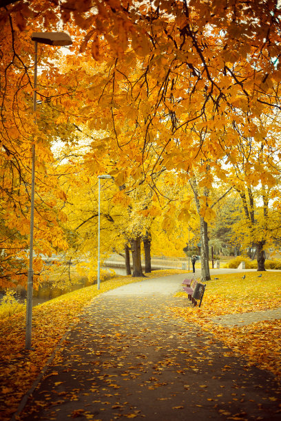autumn