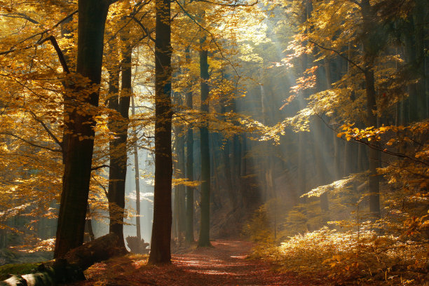 autumn