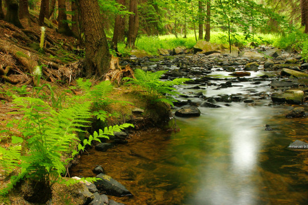 stream