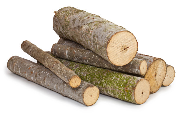 log
