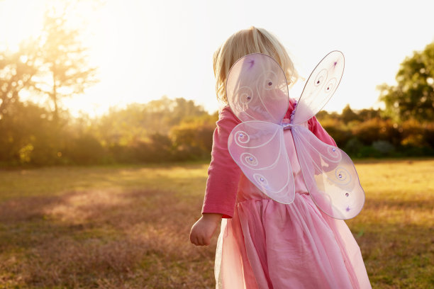 fairy