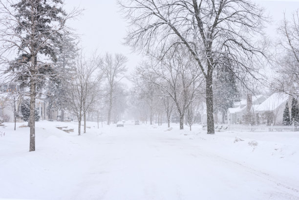 鹅毛大雪