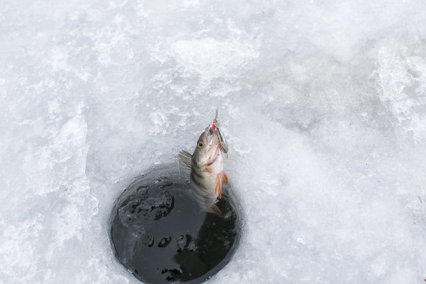 抓鱼冰上钓鱼
