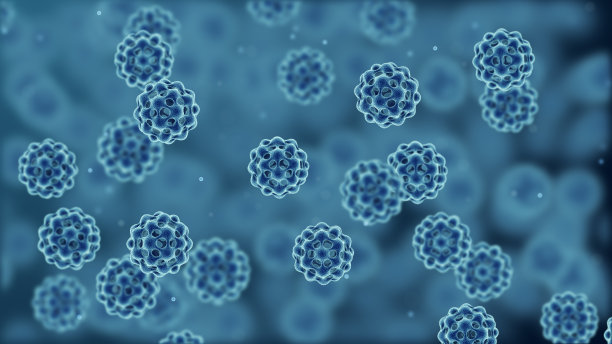bacteria