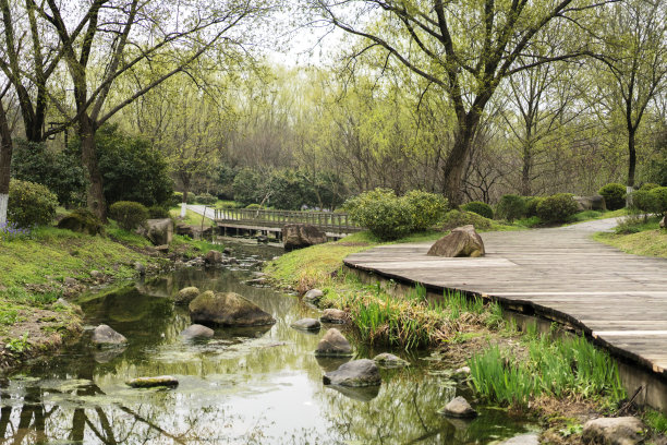 wetland