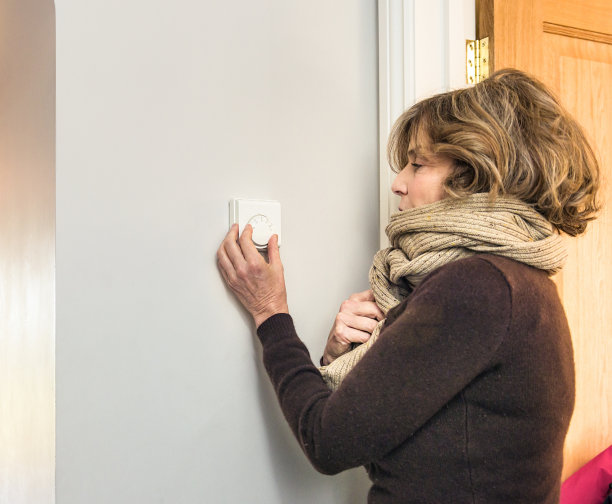 thermostat