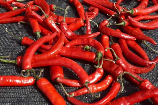 tabasco