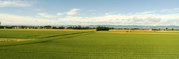 田野山村