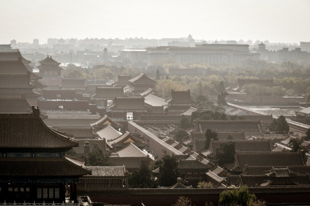 政府大院