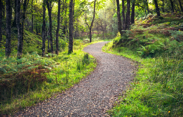 pathway