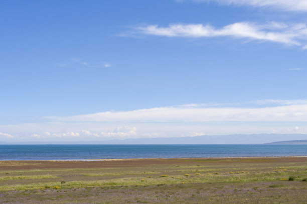 青海湖沼泽