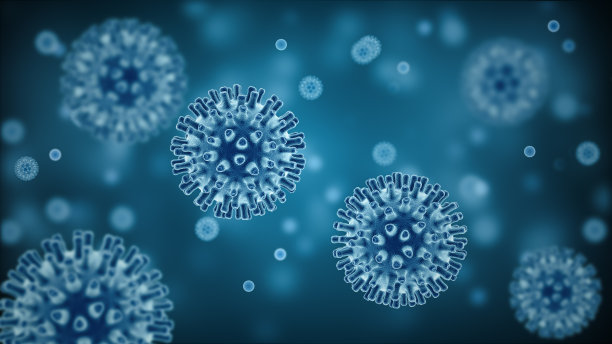 bacteria
