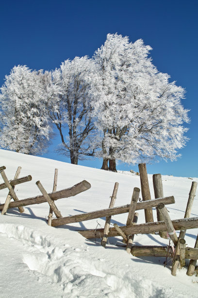 雪中栅栏