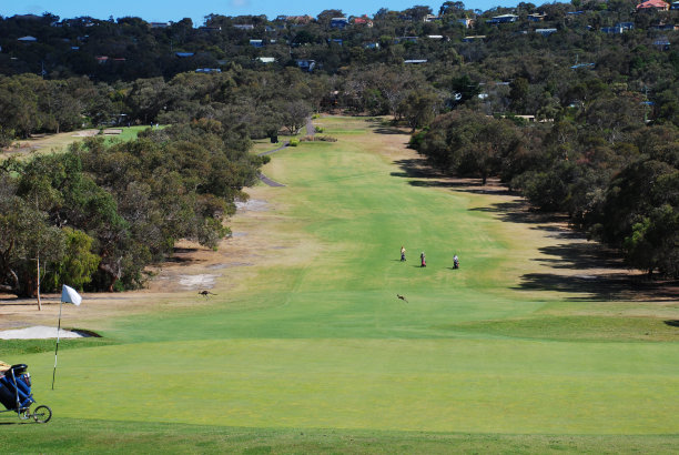 anglesea
