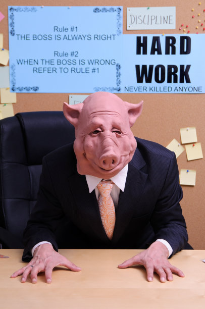 纪律处分工作原则