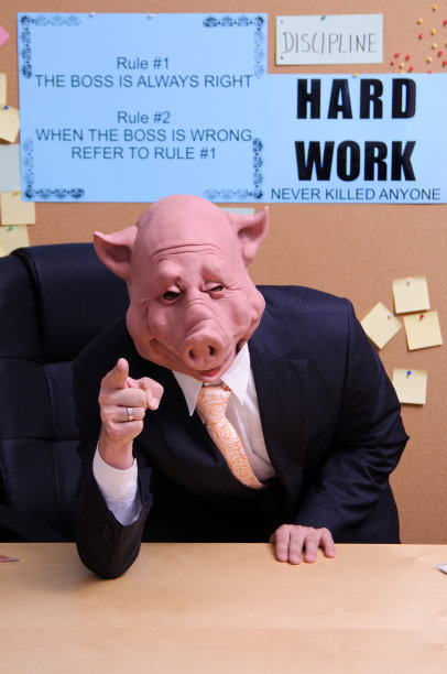 纪律处分工作原则