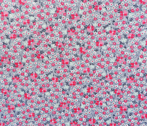 toile