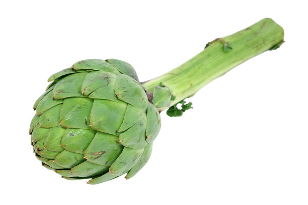 artichoke