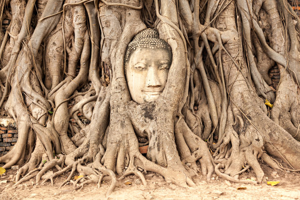 ayutthaya