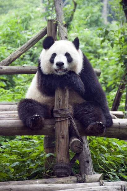 zoo