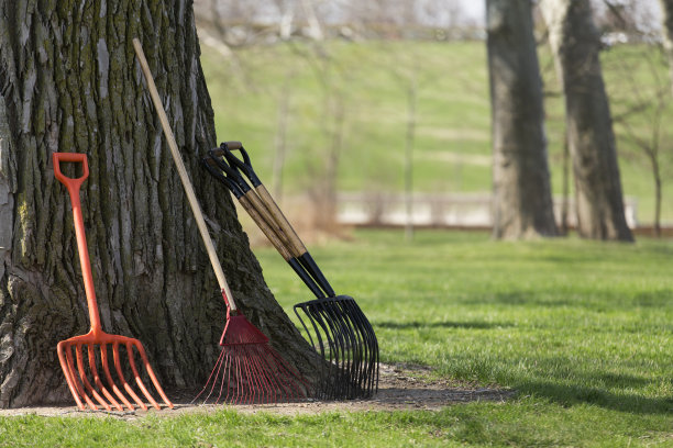 rake