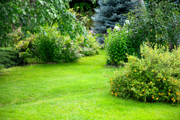 小院子庭院私家花园景观设计