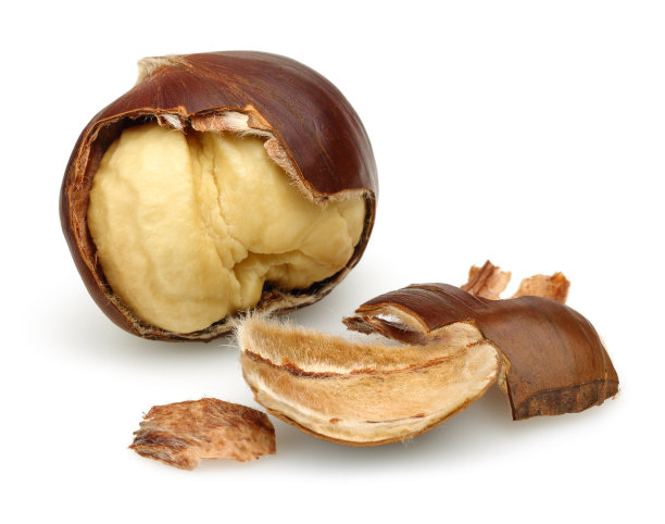 chestnut