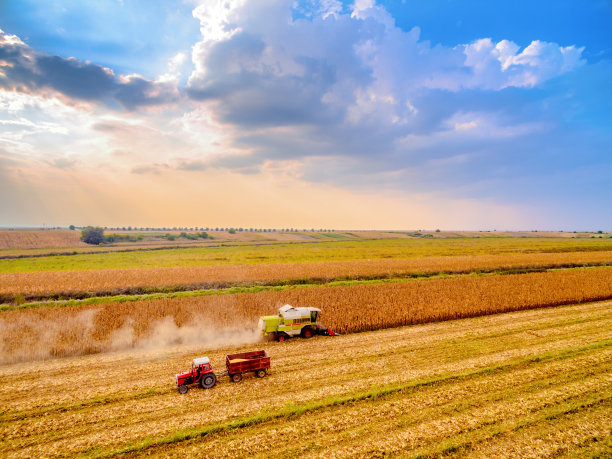 harvest