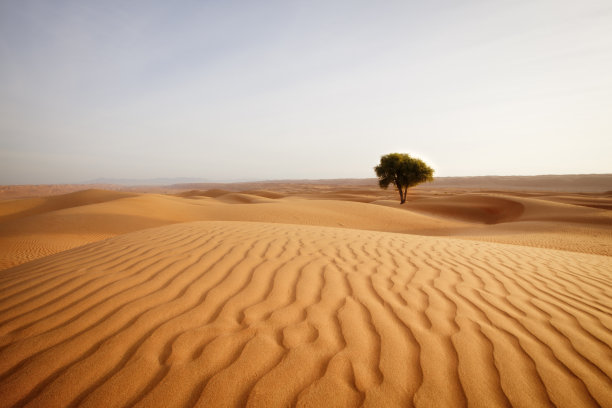 desert