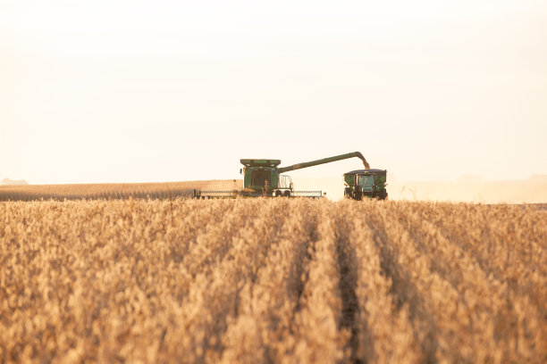 harvest