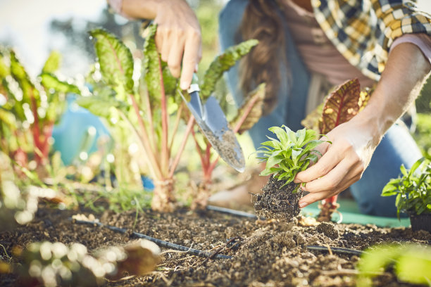 horticulture