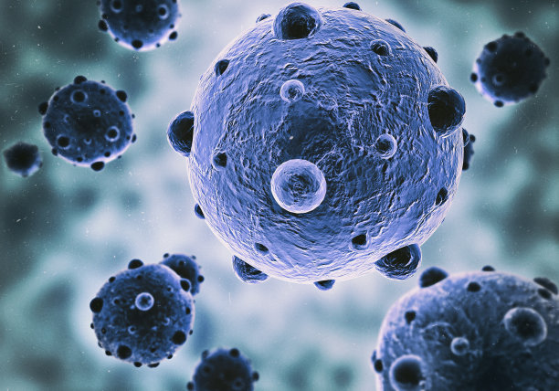 bacteria