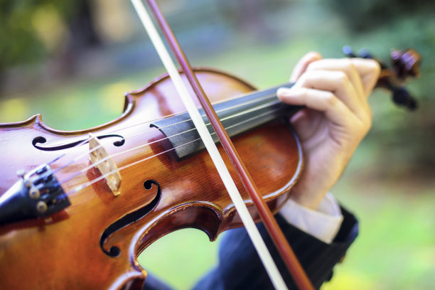 violin