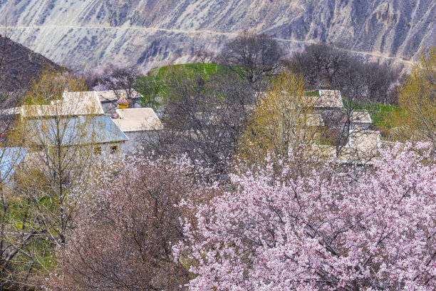 桃花湖泊